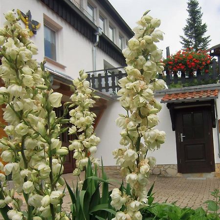 Ferienhaus Haus Am Wald Stolberg  Ngoại thất bức ảnh