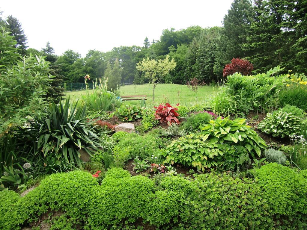 Ferienhaus Haus Am Wald Stolberg  Phòng bức ảnh