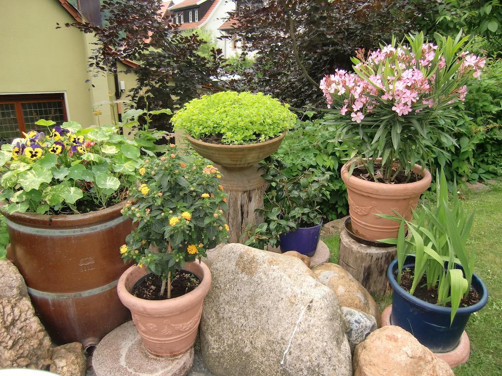 Ferienhaus Haus Am Wald Stolberg  Ngoại thất bức ảnh