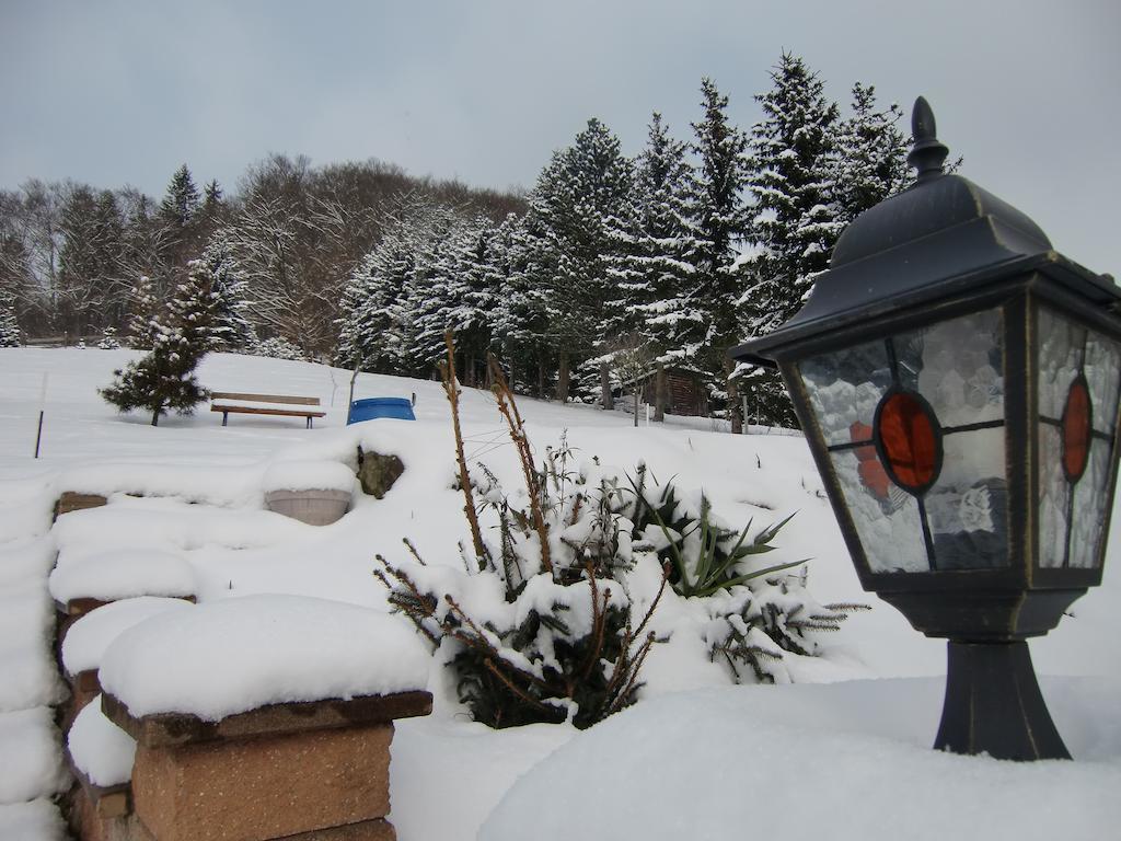 Ferienhaus Haus Am Wald Stolberg  Ngoại thất bức ảnh