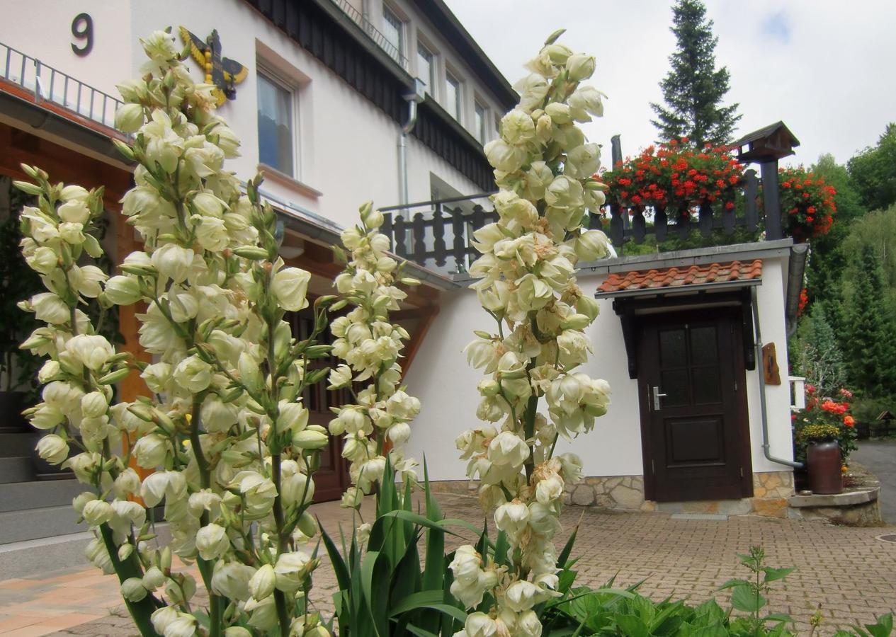 Ferienhaus Haus Am Wald Stolberg  Ngoại thất bức ảnh