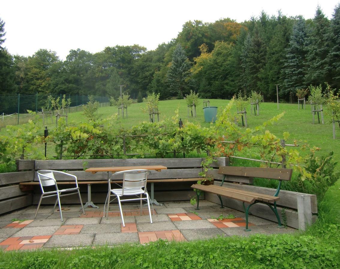 Ferienhaus Haus Am Wald Stolberg  Ngoại thất bức ảnh