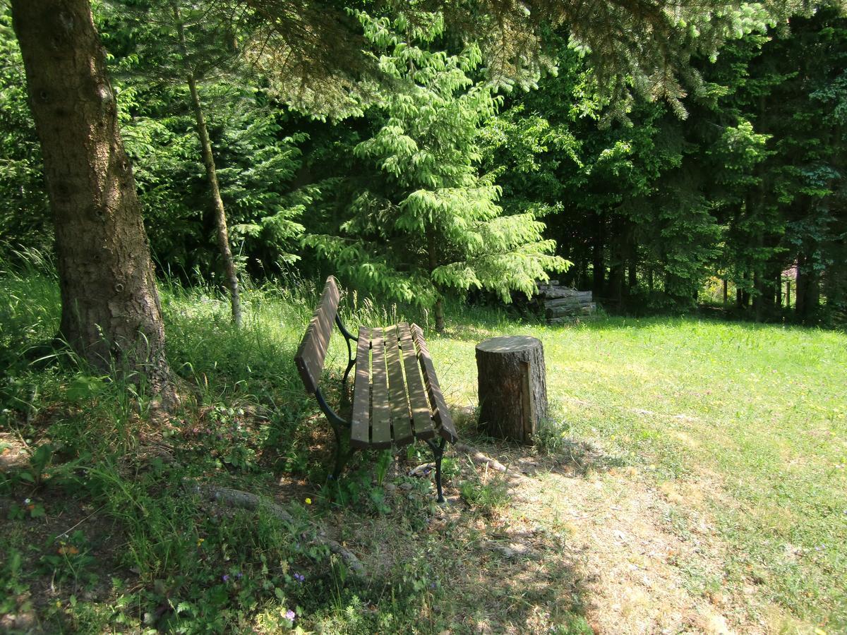 Ferienhaus Haus Am Wald Stolberg  Ngoại thất bức ảnh